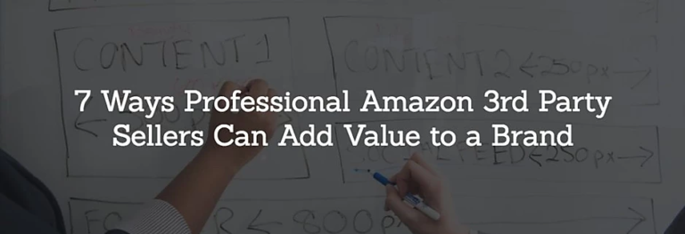 Read more about the article 7 Ways Professional Amazon 3rd Party Sellers Can Add Value to a Brand